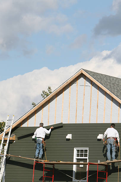 Best Historical Building Siding Restoration  in Aledo, IL