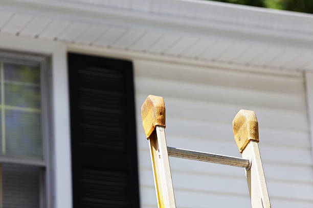 Best Custom Trim and Detailing for Siding  in Aledo, IL